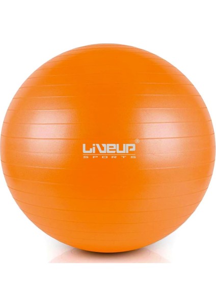 Lıveup Mavi Spor Top 1 Adet fiyatları