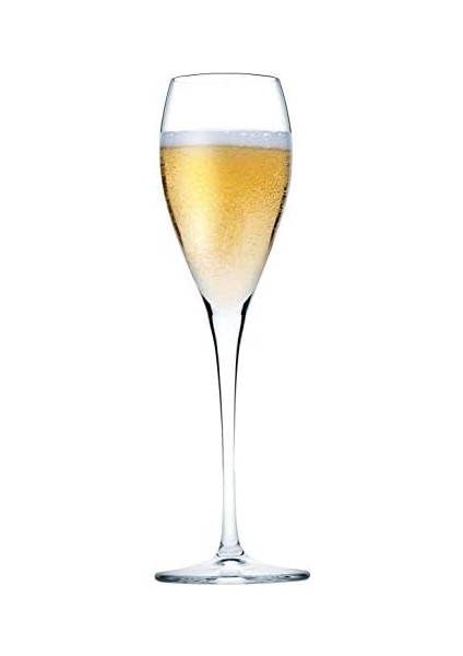 Veneto Şampanya Bardağı 6'lı fiyatları