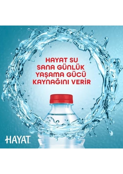 Hayat Doğal Mineralli Su (12 x 0,33 Ml) modelleri