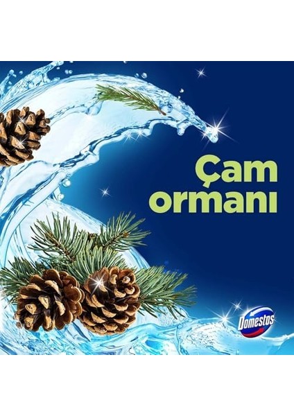 Domestos Wc Blok 5'li Güç Çam Ferahlığı 600 Sifona Kadar Güçlü Temizlik 110 gr Ikili Paket modelleri