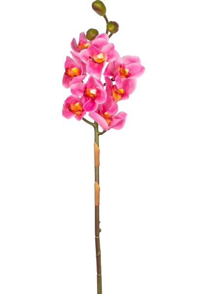 Yapay Orkide Gerçek Dokulu Pembe 75 Cm.