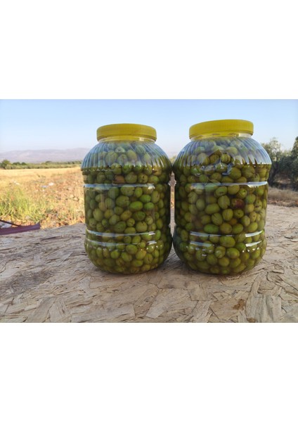 Çekirdeksiz Yeşil Zeytin (5kg)
