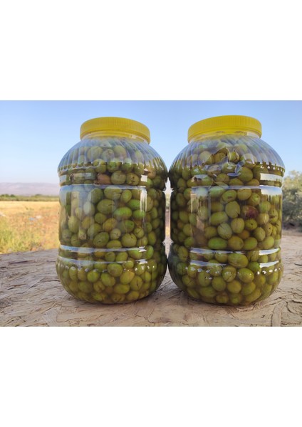 Çekirdeksiz Yeşil Zeytin (5kg) fiyatları