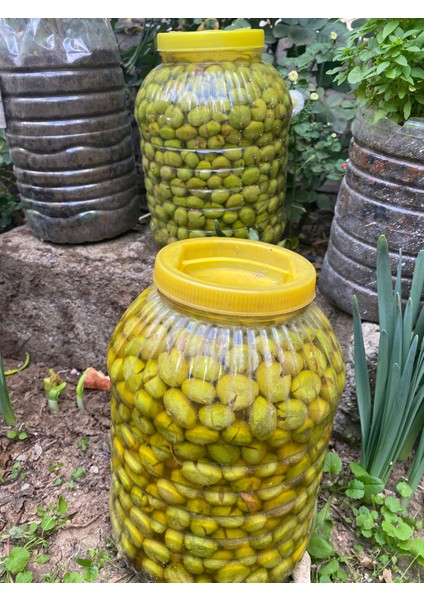 Çekirdeksiz Yeşil Zeytin (5kg) modelleri