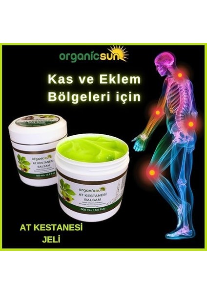 Organicsun At Kestanesi Balsamı Jeli Kas ve Eklem Besleyici Masaj Kremi 500 ml fiyatları