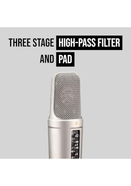 Nt2-A, Multi Pattern Kondenser Mikrofon modelleri