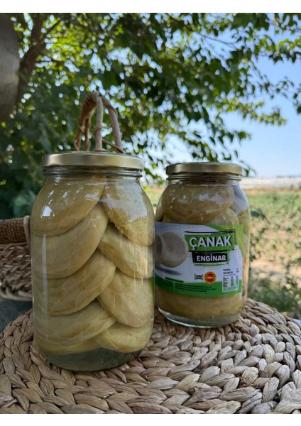 13'lü Çanak Enginar Konservesi | 2000CC