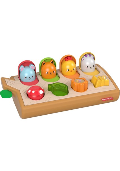 Price Sürprizli Arkadaşlar, Kumaş Ayrıntılı, Ağaç Temalı Aktivite Oyuncağı, 9 Ay ve Üzeri Bebekler Için GJW24, Çok Renkli