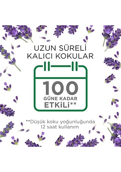 Air Wick Elektrikli Oda Kokusu Esansiyel Yağlar Cihaz + Yedek Şişe Lavanta