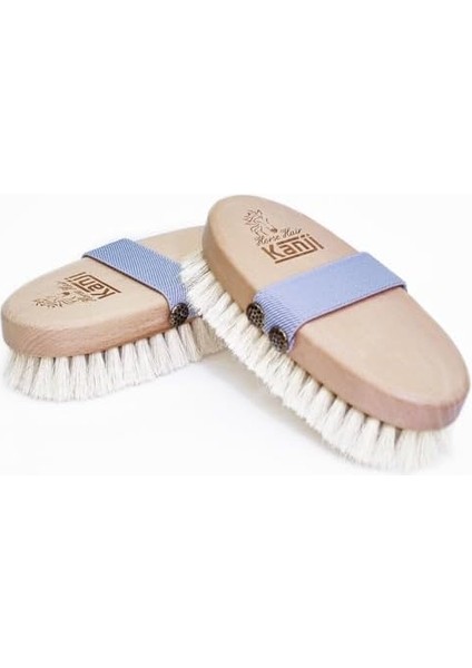 %100 Doğal At Kılı Masaj ve Kuru Fırçalama Için Gri Kemerli Vücut Peeling Selülit Fırçası fiyatları