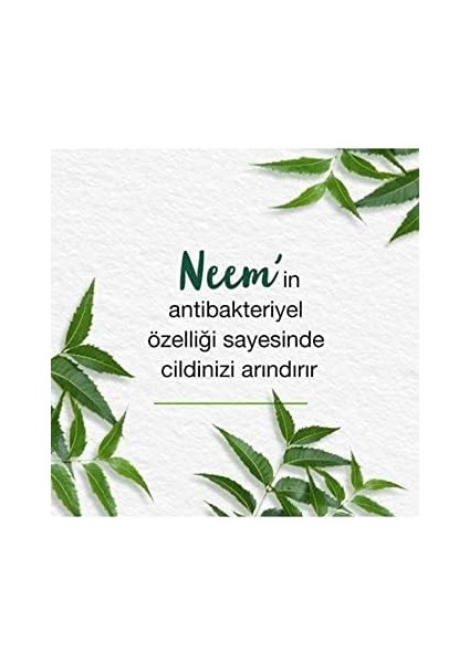 Himalaya Since 1930 Arındırıcı Yüz Temizleme Köpüğü, Neem, Zerdeçal, Parabensiz, Normal ve Yağlı Ciltler, 150 ml fiyatları