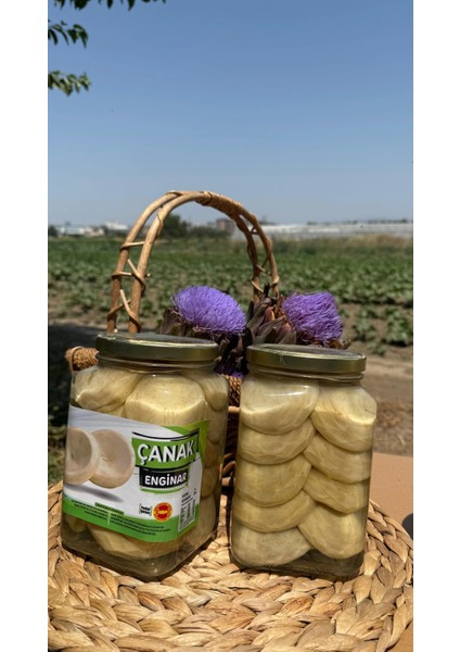 20'li Çanak Enginar Konservesi 5-6 cm | 1600CC fiyatları