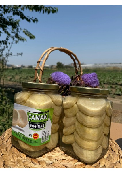 20'li Çanak Enginar Konservesi 5-6 cm | 1600CC modelleri