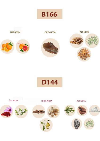 Bacera B166 Woody Erkek Parfüm 50ML Edp D144 Oriental Unisex Parfüm 50ML Edp fiyatları