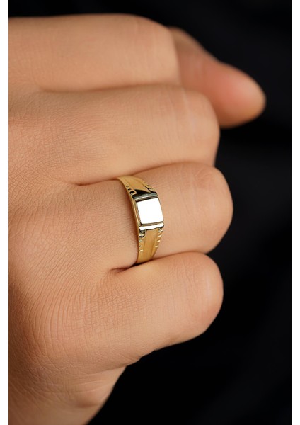 14 Ayar Altın Kalemli Şövalye Erkek Yüzük