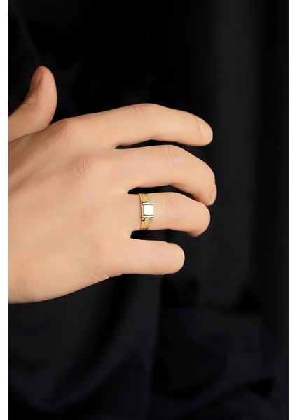 14 Ayar Altın Kalemli Şövalye Erkek Yüzük modelleri