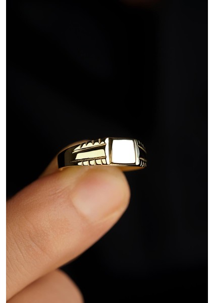 14 Ayar Altın Kalemli Şövalye Erkek Yüzük fırsatları