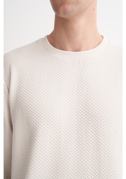 Caz 53535 Kendinden Dokulu Regular Fit Bisiklet Yaka Erkek Sweat fiyatları