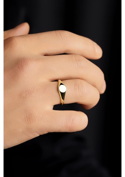 14 Ayar Altın Yuvarlak Plaka Şövalye Erkek Yüzük