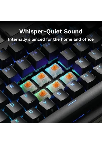 Oyun - Sessiz Anahtarlar (36 Adet) Oyun ve Yazma Için Lubed Dokunsal Anahtarlar, Mx Hotswappable Mekanik Klavyeler Için, 3-Pin Plaka Monte fiyatları