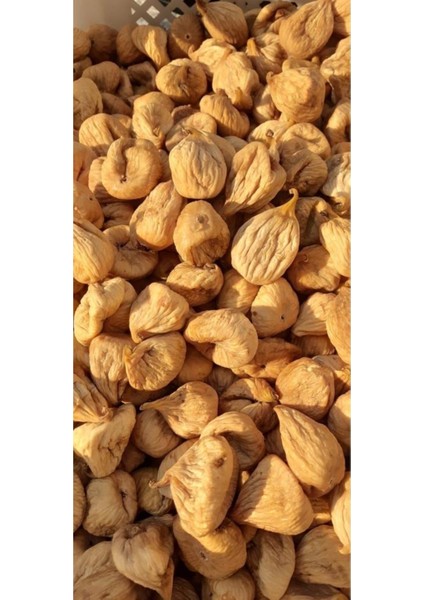Kuru Incir Iri Boy (1 Kg) fiyatları