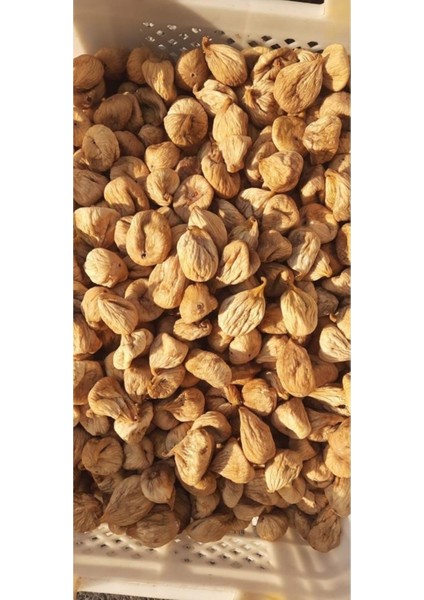 Kuru Incir Iri Boy (1 Kg) modelleri