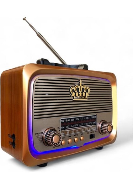 Bluetooh Nostaji Radyo Speaker