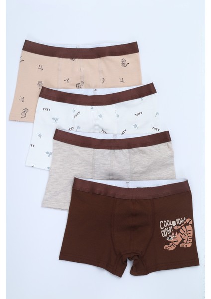 Erkek Çocuk Çok Desen Baskılı 4lü Paket Boxer