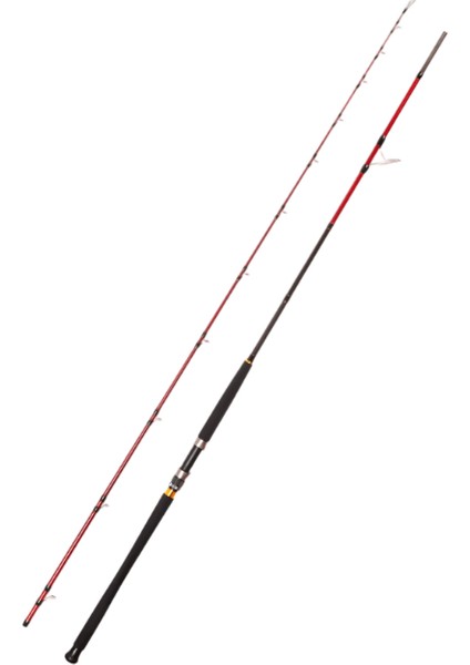 Vector 2.95 M 40-120 G Shore Jig Rod