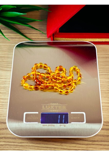 Damla Kehribar Yetişkin Kolye Şifa Kaynağı Sertifikalı Ürün indirimleri