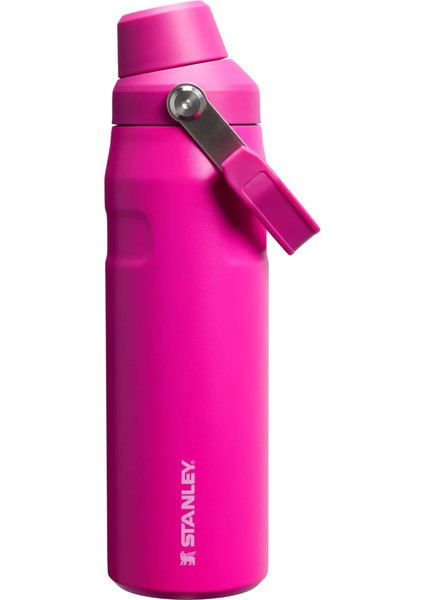 Aerolight Iceflow Fast Flow Soğuk Su Termosu 0,70 Lt Violet Blossom