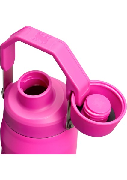 Aerolight Iceflow Fast Flow Soğuk Su Termosu 0,70 Lt Violet Blossom modelleri