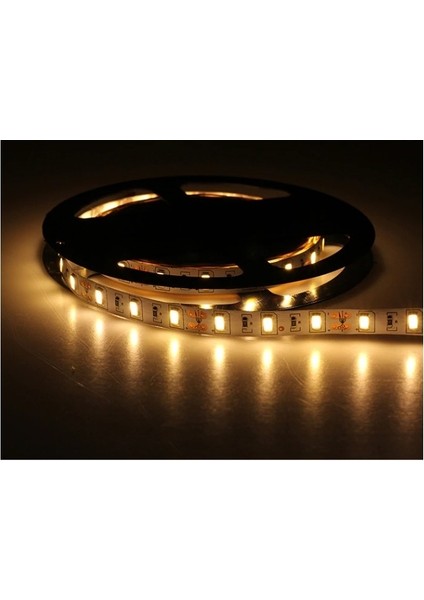 5630 Şerit LED 5 Metre 8 Çipli Silikonsuz Günışığı Şerit LED fiyatları