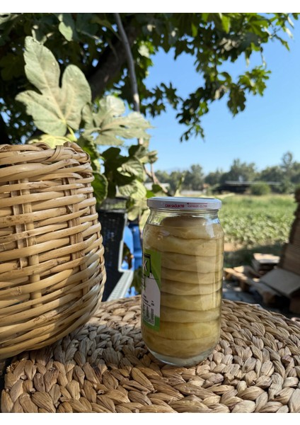 9’lu Çanak Enginar Konservesi(7-9cm) | 1000CC fiyatları