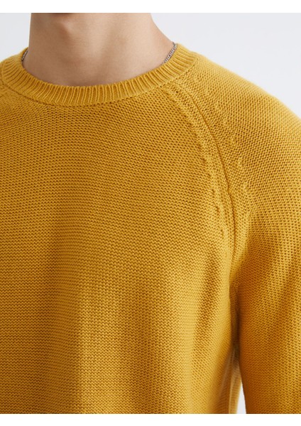 Yeni Sezon Bisiklet Yaka Erkek Triko Kazak modelleri