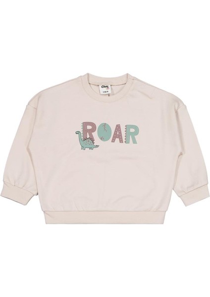 Dinozor Baskılı 6-18 Ay Takım fiyatları