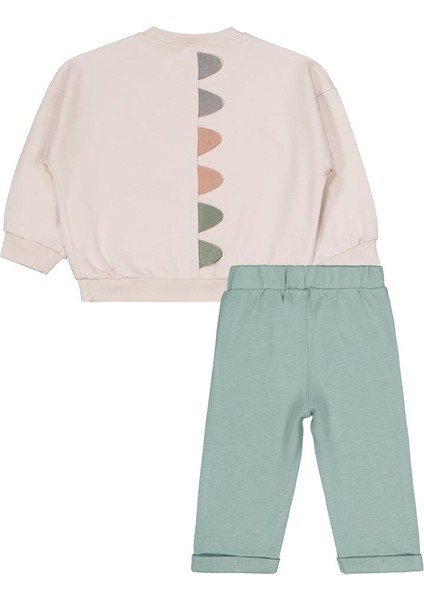 Dinozor Baskılı 6-18 Ay Takım modelleri