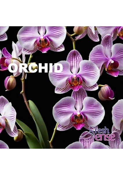 Redist Fön Suyu Keratin 225 ml modelleri