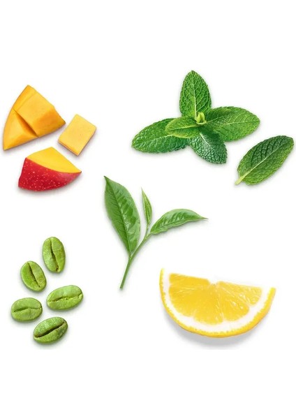 Yeşil Kahve Çekirdekli Fit Çay modelleri