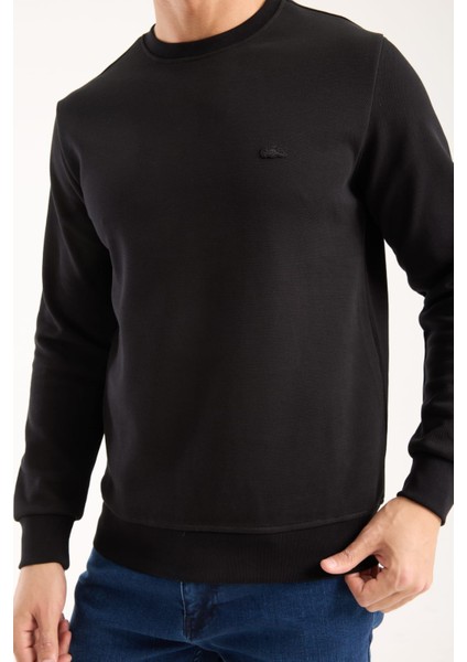 Basıc Siyah Bisiklet Yaka Regular Fit Paris Arma fiyatları