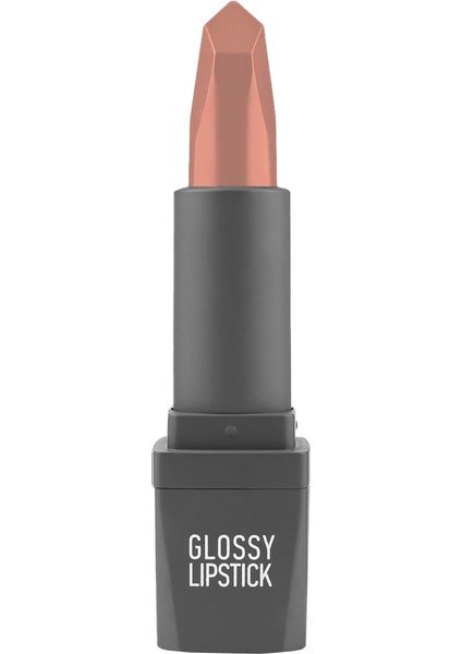 Alıx Avıen Uzun Süre Kalıcı Yoğun Renk Veren Nemlendirici Parlak Ruj - Glossy Lipstick 302 Nude fiyatları