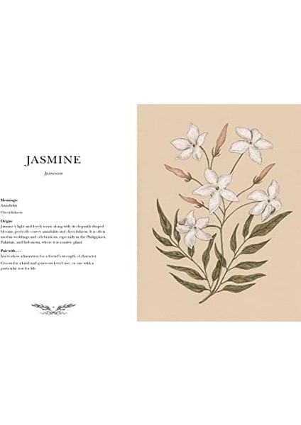 An Illustrated Guide To The Victorian Of: An Illustrated Guide To The Victorian Of Volume 1 modelleri