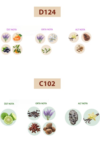 Bacera D124 Oriental Kadın Parfüm 50ML Edp C102 Fresh Erkek Parfüm 50ML Edp fiyatları