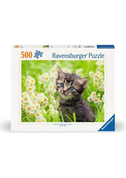 500P Puzzle Kedi Foto, Yapboz