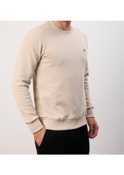 Basıc Bej Bisiklet Yaka Regular Fit Uzun Kol modelleri