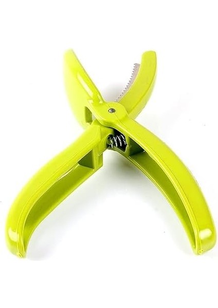 Çizici Chesnut Cutter modelleri