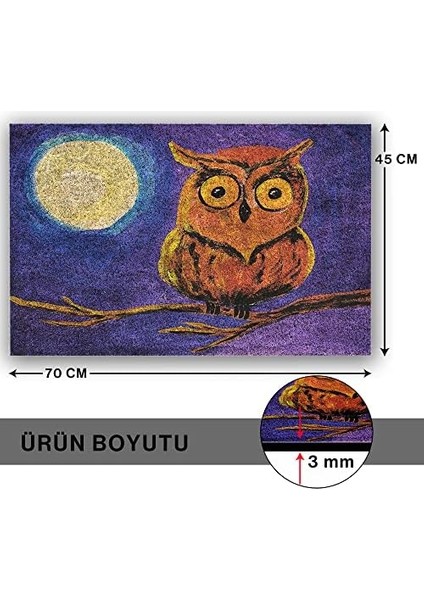 Tasarımlı Dekoratif Kapı Önü Paspas, Dış Mekan/ev Içi/ /mutfak/yatak Odası/giriş Paspasları (Gece, 45X70) fiyatları
