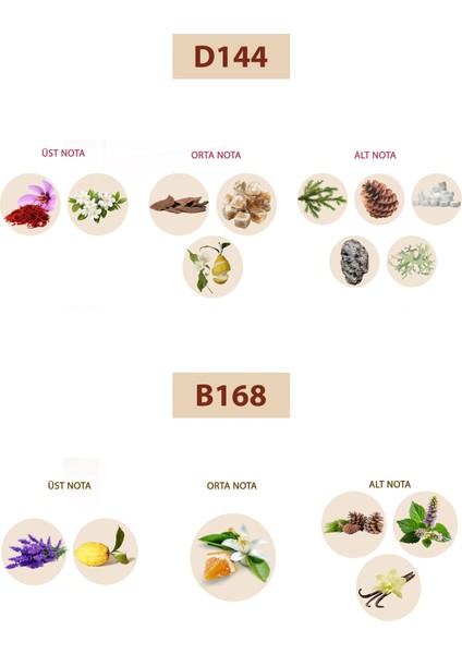 Bacera D144 Oriental Unisex Parfüm 50ML Edp B168 Woody Erkek Parfüm 50ML Edp fiyatları