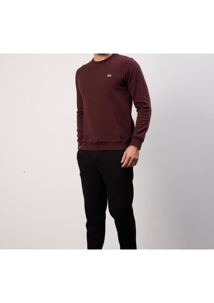 Basıc Bordo Regular Fit Bisiklet Yaka indirimleri