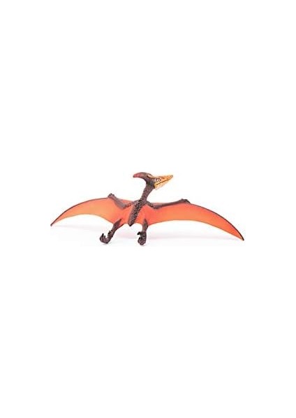 Pteranodon fiyatları